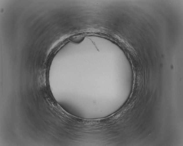 X0000083661262200703121802