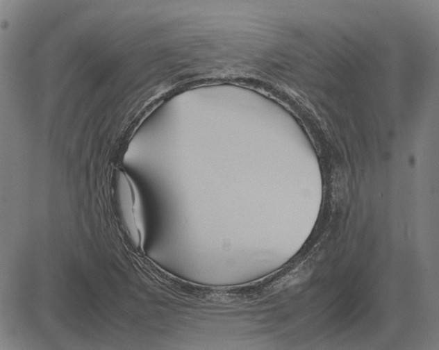 X0000083661265200703121802