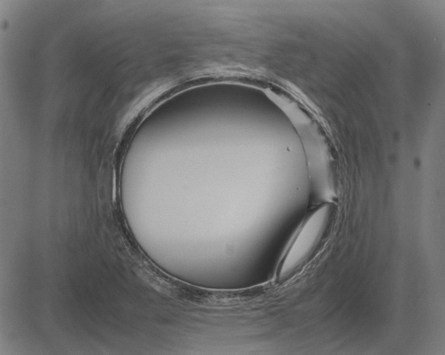 X0000083661269200703121802