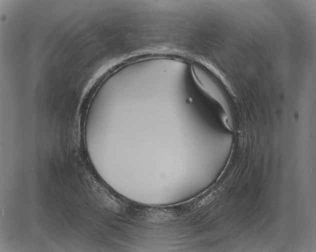 X0000083661270200703121802