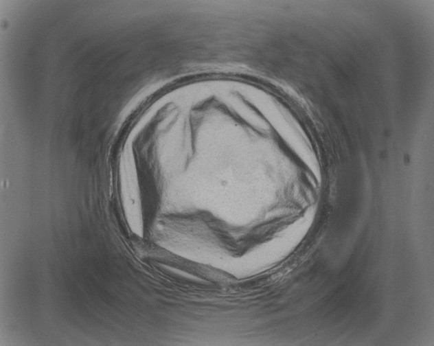 X0000083661271200703121802