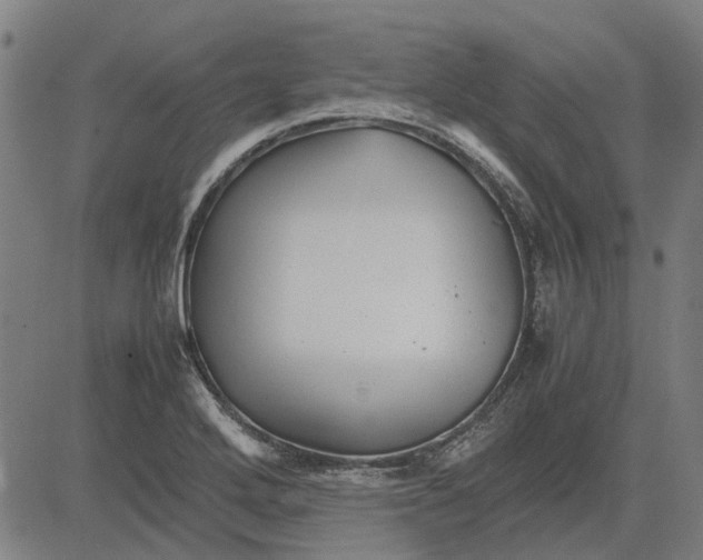 X0000083661272200703121802