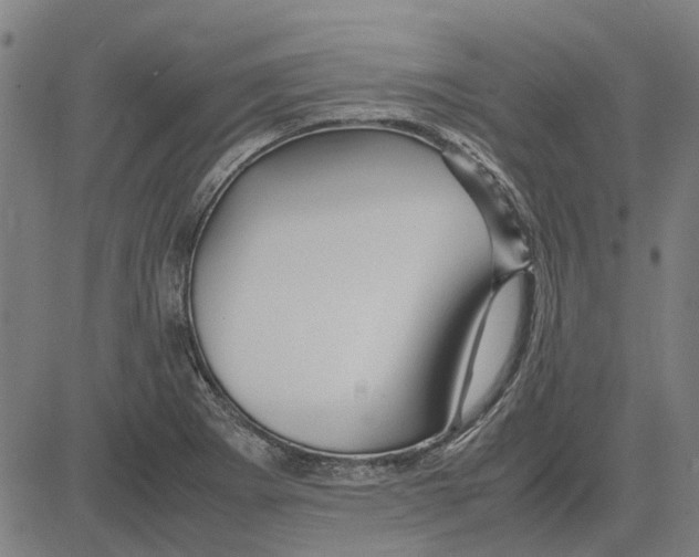 X0000083661273200703121802