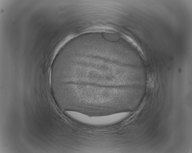 X0000083661275200703121802