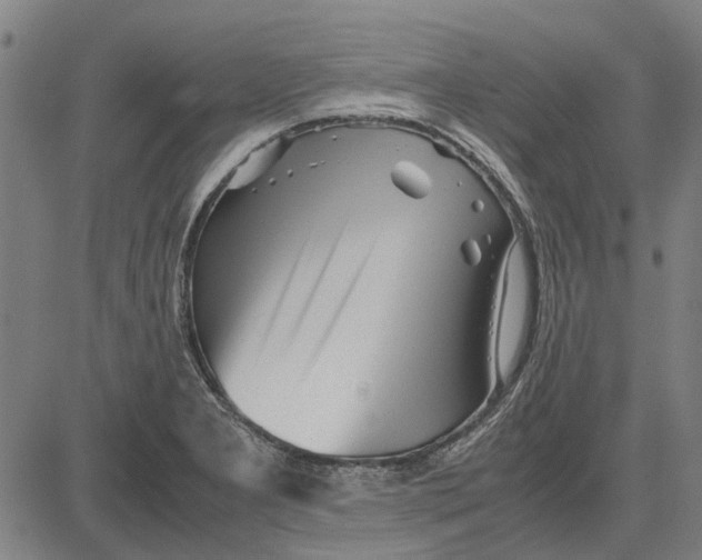 X0000083661277200703121802