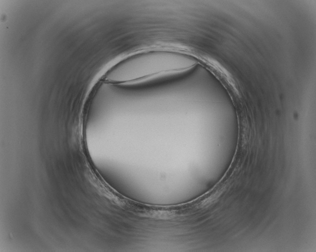 X0000083661280200703121802