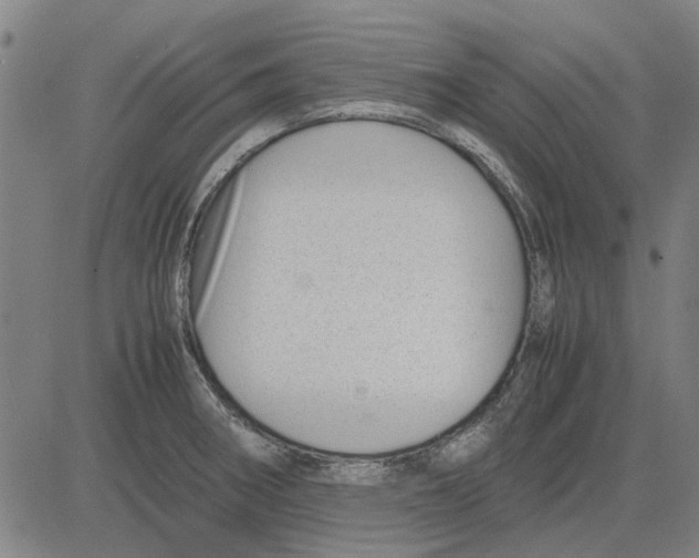 X0000083661282200703121802