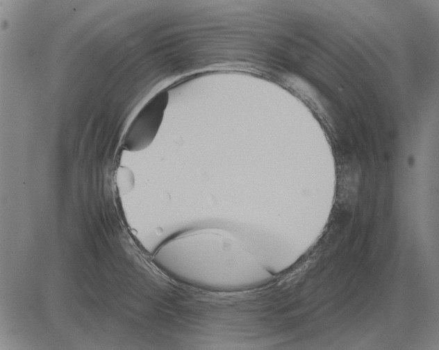 X0000083661284200703121802