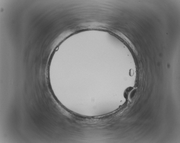 X0000083661285200703121802