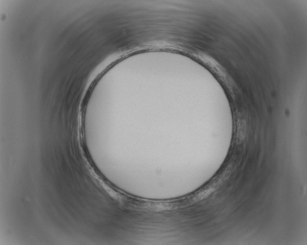 X0000083661286200703121802