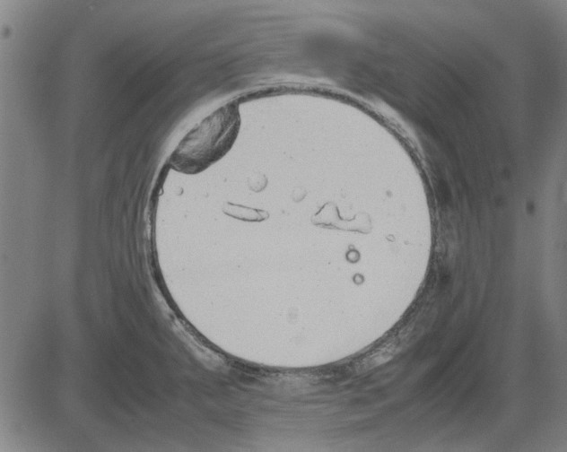 X0000083661287200703121802