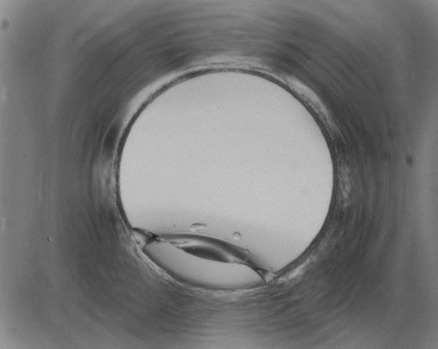 X0000083661288200703121802