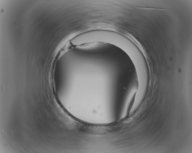 X0000083661293200703121802