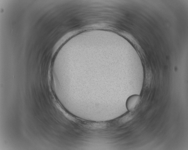 X0000083661294200703121801