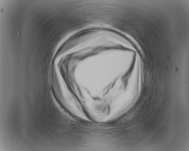 X0000083661295200703121801