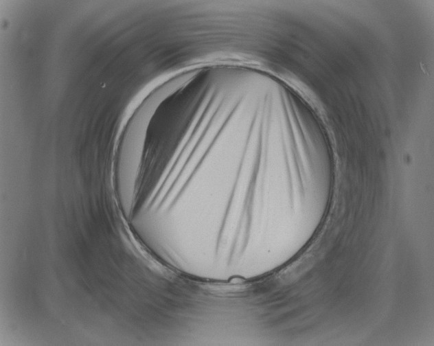 X0000083661296200703121801