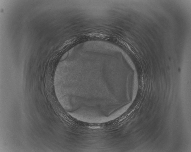 X0000083661297200703121801