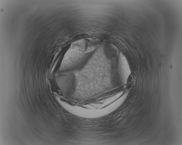 X0000083661298200703121801