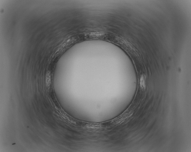 X0000083661299200703121801