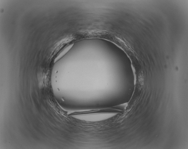 X0000083661300200703121801