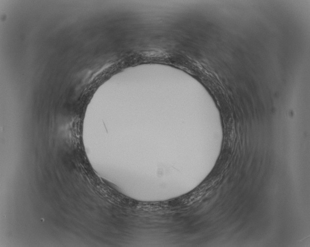 X0000083661301200703121801