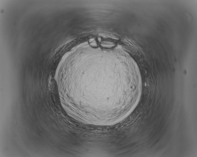 X0000083661302200703121801