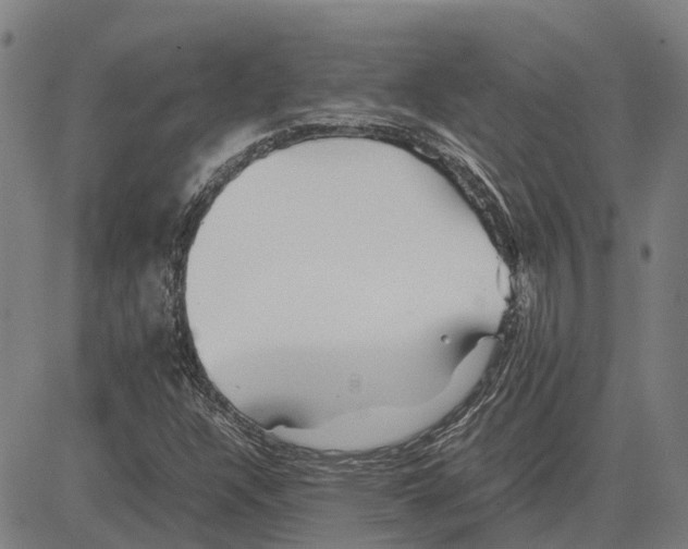 X0000083661304200703121801