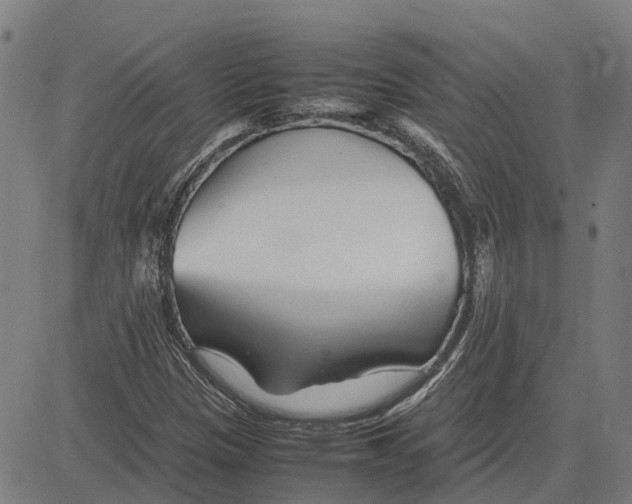 X0000083661305200703121801