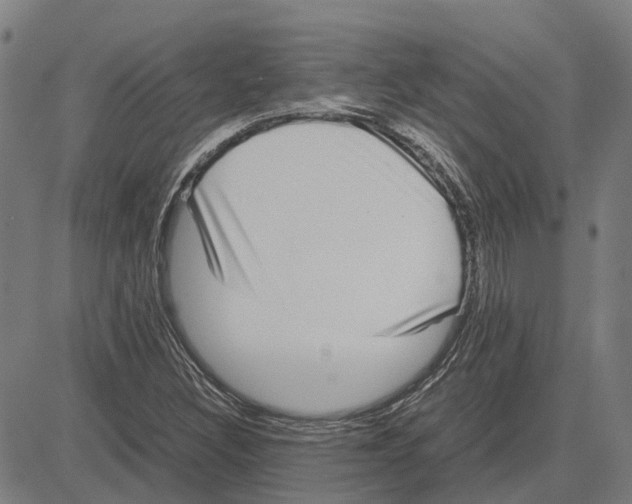 X0000083661308200703121801