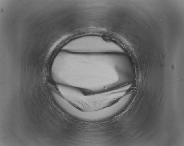 X0000083661310200703121801