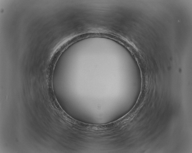 X0000083661311200703121801