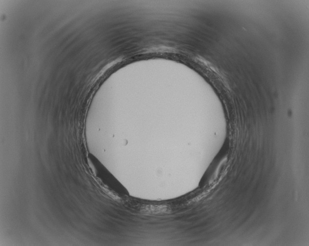 X0000083661313200703121801