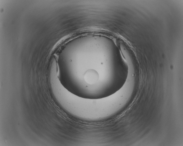 X0000083661314200703121801