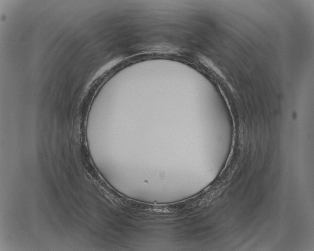 X0000083661315200703121801