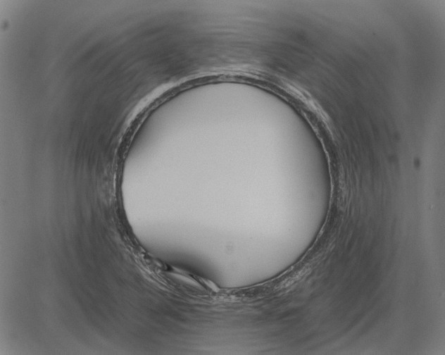 X0000083661316200703121801