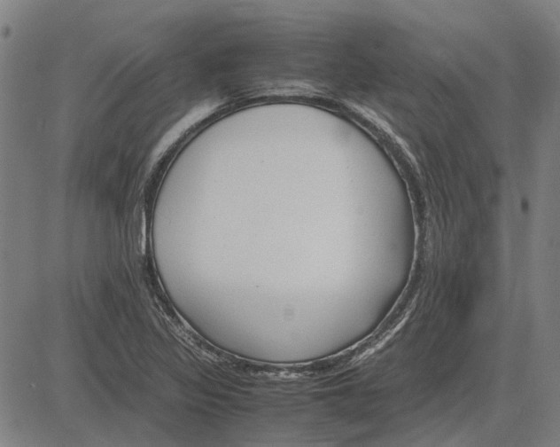 X0000083661317200703121801