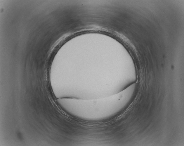 X0000083661318200703121801