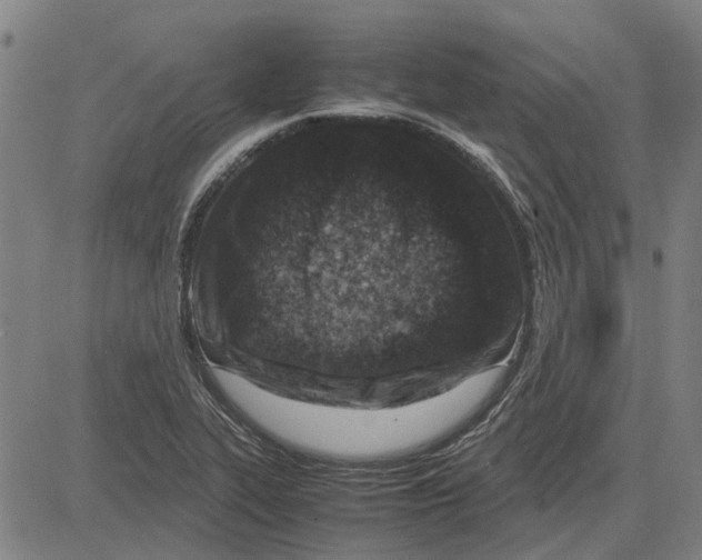 X0000083661319200703121801