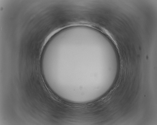 X0000083661320200703121801