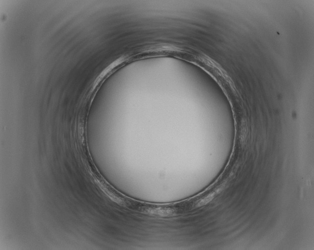 X0000083661321200703121801