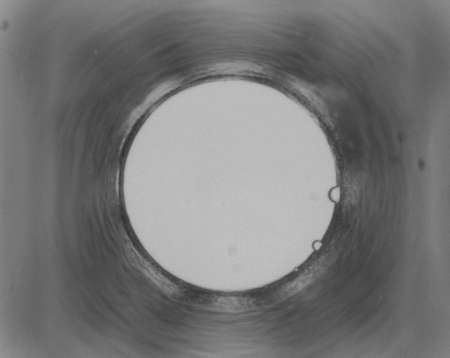 X0000083661322200703121801