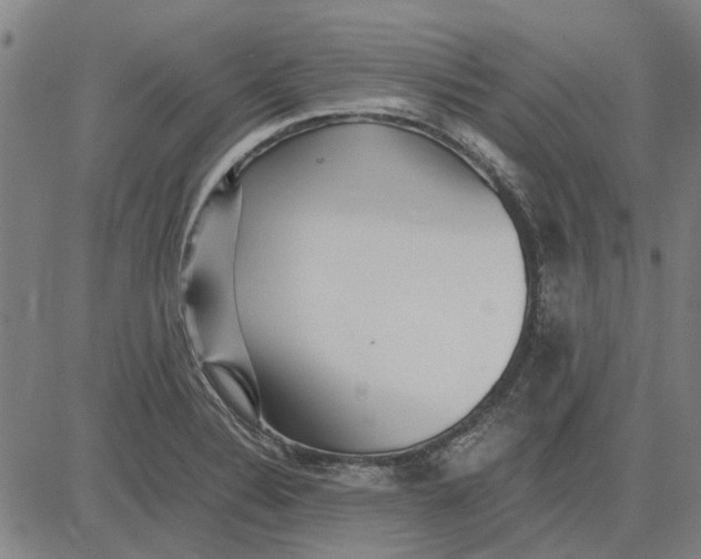 X0000083661324200703121801