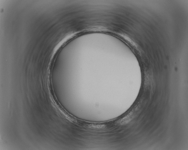 X0000083661325200703121801