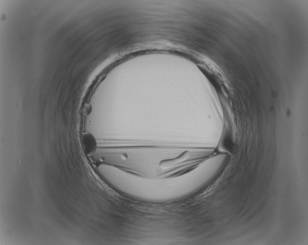 X0000083661326200703121801