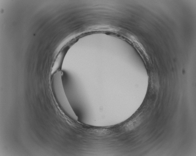 X0000083661328200703121801