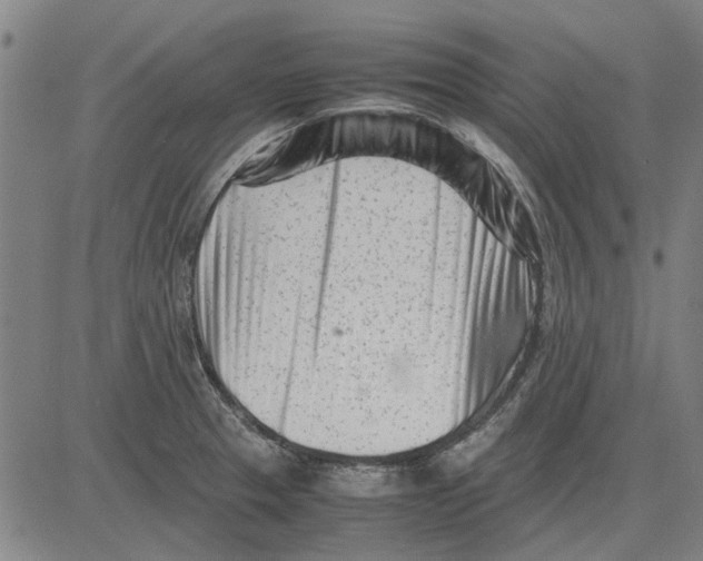 X0000083661329200703121801