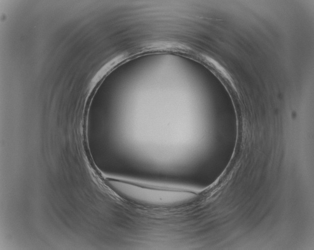 X0000083661330200703121801