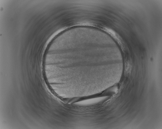 X0000083661331200703121801