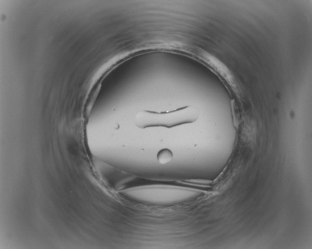 X0000083661332200703121801