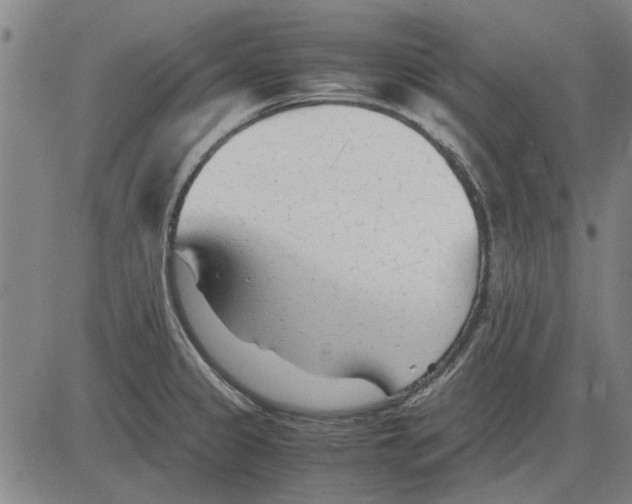 X0000083661333200703121801